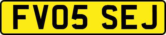 FV05SEJ