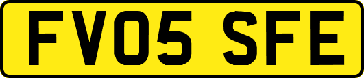 FV05SFE