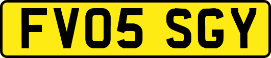 FV05SGY