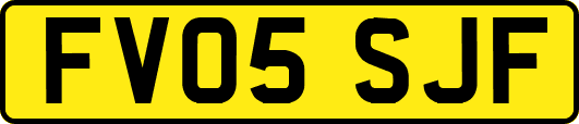 FV05SJF