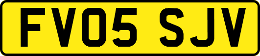 FV05SJV