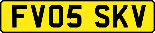 FV05SKV