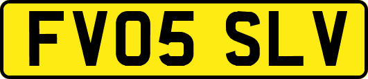 FV05SLV