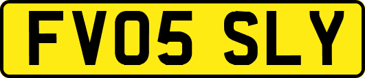FV05SLY