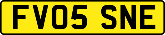 FV05SNE