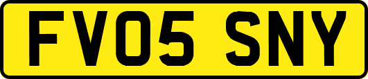 FV05SNY