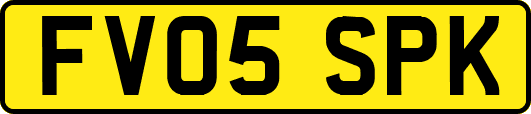 FV05SPK