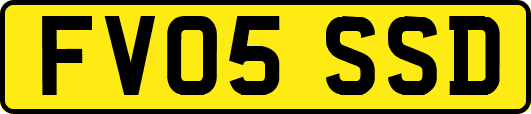 FV05SSD