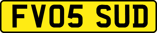 FV05SUD