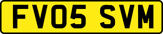 FV05SVM