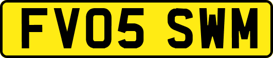 FV05SWM