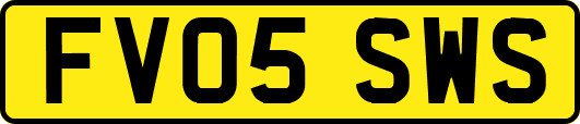 FV05SWS