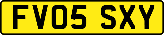 FV05SXY