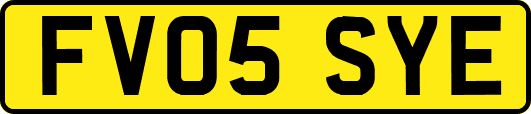 FV05SYE