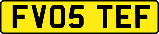 FV05TEF
