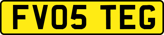 FV05TEG