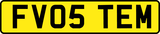 FV05TEM