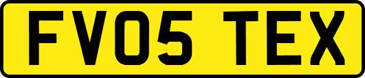 FV05TEX