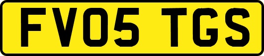 FV05TGS