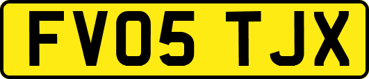 FV05TJX