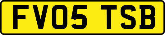 FV05TSB