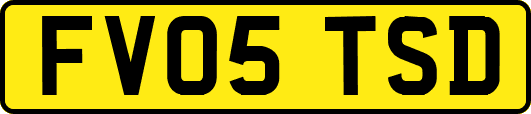 FV05TSD