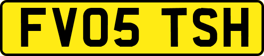FV05TSH
