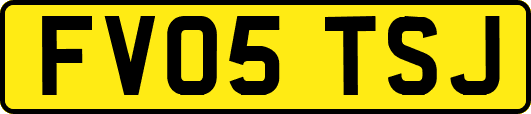 FV05TSJ
