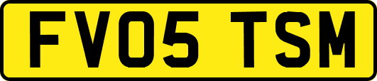 FV05TSM