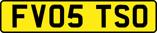 FV05TSO
