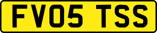 FV05TSS