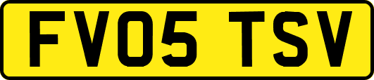 FV05TSV