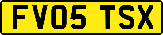 FV05TSX