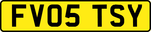FV05TSY