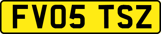 FV05TSZ