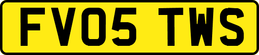 FV05TWS
