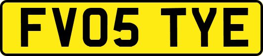 FV05TYE