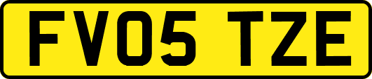 FV05TZE