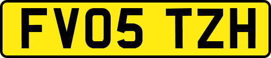 FV05TZH