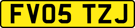 FV05TZJ