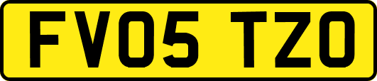 FV05TZO