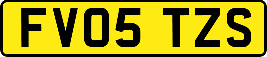 FV05TZS