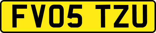 FV05TZU