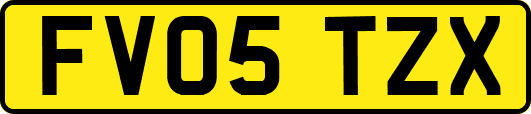 FV05TZX