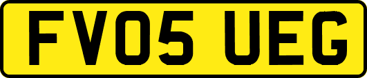 FV05UEG