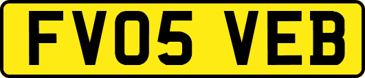 FV05VEB