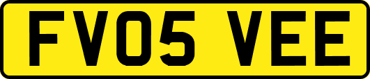 FV05VEE