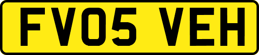 FV05VEH