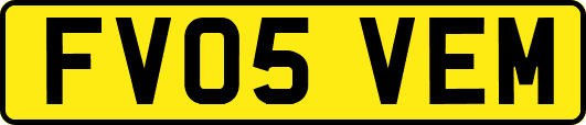 FV05VEM