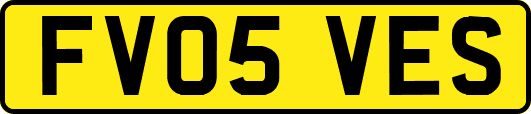 FV05VES
